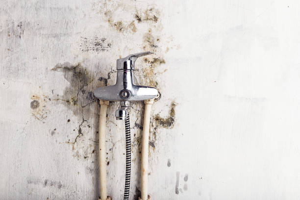 Best Basement Mold Remediation in Hobart, WI