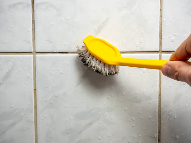 Best Emergency Mold Remediation in Hobart, WI