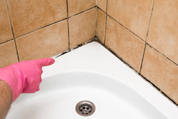 Best Residential Mold Remediation in Hobart, WI